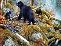 Bears near the lake