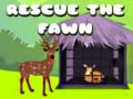Rescue the fawn