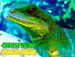 中国の水竜のジグソーパズル 