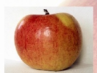 Big apple