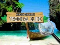 Hidden Objects: Tropical Slide