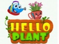 Hello Plant 