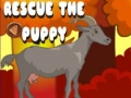 Rescue The Puppy