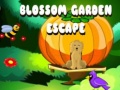 Blossom Garden Escape