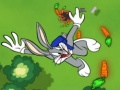 Bugs Bunny Crazy Flight