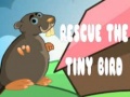 Rescue The Tiny Bird