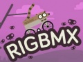 RigBMX