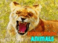 Funny Smiling Animals