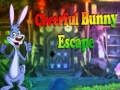 Cheerful Bunny Escape
