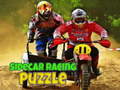 Sidecar Racing Puzzle