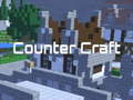 Counter Craft