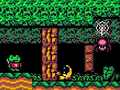 Froggy Knight: Lost in the Forest