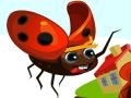 Ladybug Journey