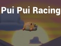 Pui Pui Racing