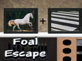 Foal Escape