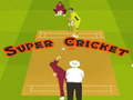 Super Cricket 