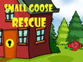 Small Goose Rescue