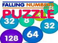 Falling Numbers Puzzle