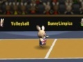Bunny volleyball