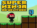 Super Adventure Ninja