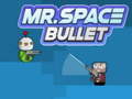 Mr. Space Bullet
