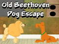 Old Beethoven Dog Escape