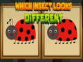 Which Insect Looks Different