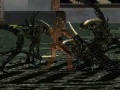 Alien VS Predator