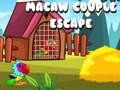 Macaw Couple Escape