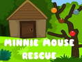 Minnie Mouse Rescue