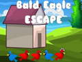 Bald Eagle Escape