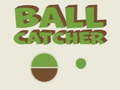 Ball Catcher