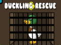 Duckling Rescue