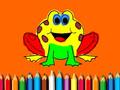 Back To School: Frog Coloring Book