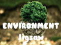 Environment Jigsaw