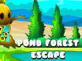 Pond Forest Escape