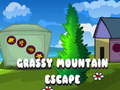 Grassy Mountain Escape