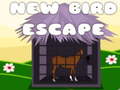 Horse escape