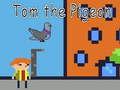 Tom the Pigeon