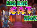 Ninja Black Cat Escape