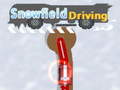 Snowfield Driving