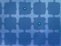 Amoebas