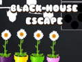 Black House Escape
