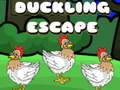 Duckling Escape
