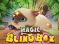 Magic Blind Box