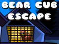 Bear Cub Escape