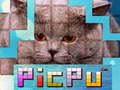 PicPu Cat 