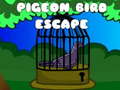 Pigeon Bird Escape