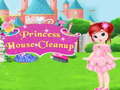 Princess House Cleanup