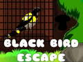 Black Bird Escape